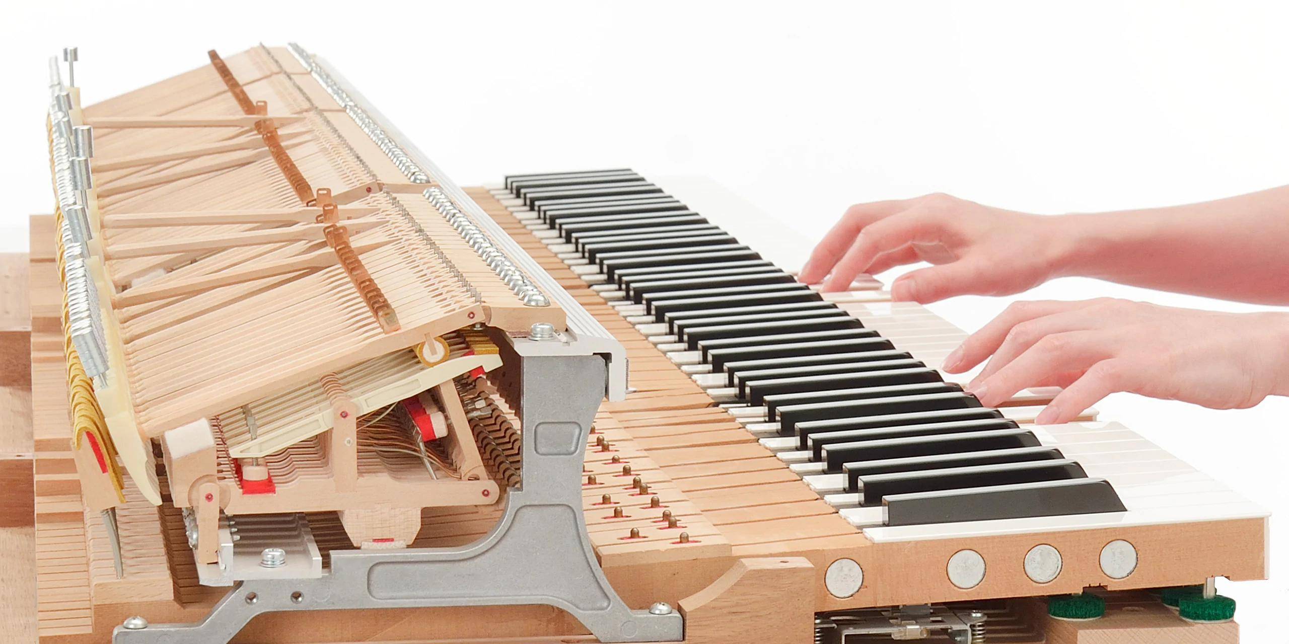 Photo Real action and Tactile Response technology replicate the natural vibration of an acoustic piano, creating an immediate connection between piano and player