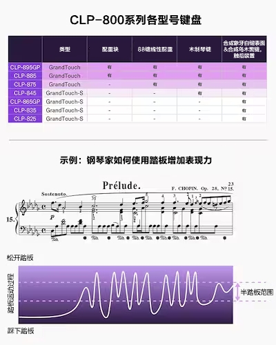 CLP-800系列