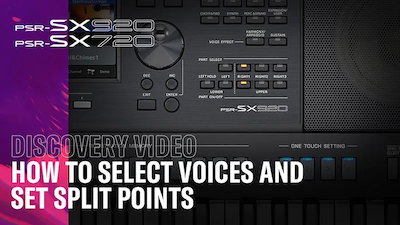 Video thumbnail of Voices &amp; Split Points